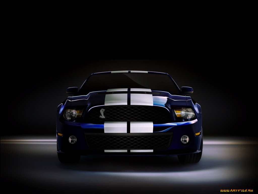 , mustang